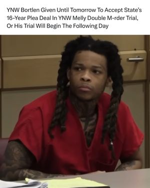 Image post by @nojumper on Instagram