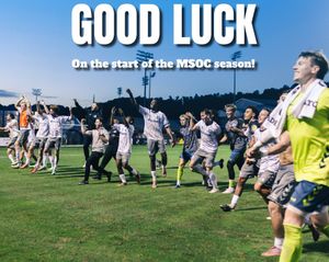 Image post by @ashevillecitysc on Instagram