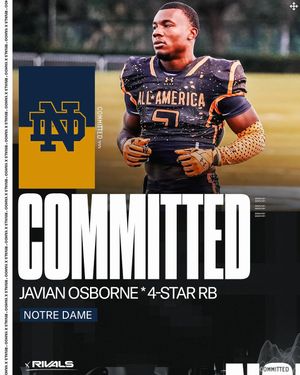 Image post by @samspiegelman_ on Instagram