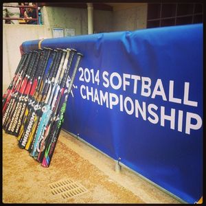 Image post by @gophersoftball on Instagram