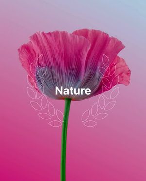 Image post by @unsplash on Instagram