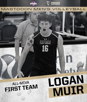 Image post by @gomastodons on Instagram