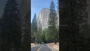 Video post by @allisonhollandmedia on YouTube