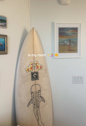 Video post by @allisonhollandmedia on TikTok