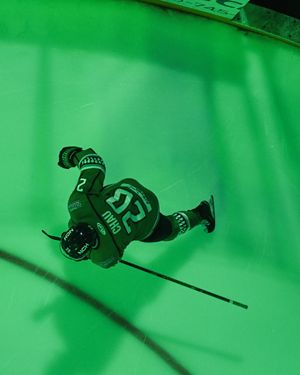 Image post by @fl_everblades on Instagram