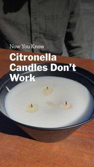 Video post by @wirecutter on Instagram