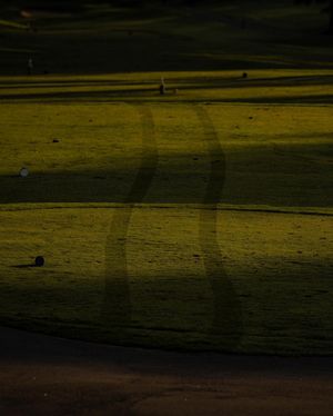 Image post by @wildwoodgreengc on Instagram