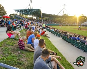 Image post by @gowoodducks on Instagram
