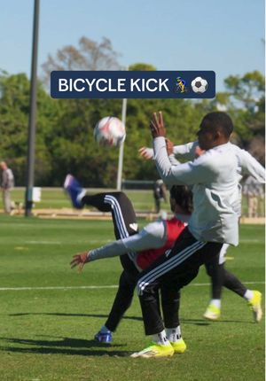 Video post by @nerevolution on TikTok