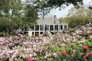 Image post by @UofSouthAlabama on Twitter