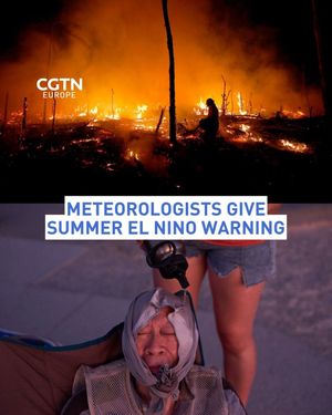 Image post by @cgtneurope on Instagram