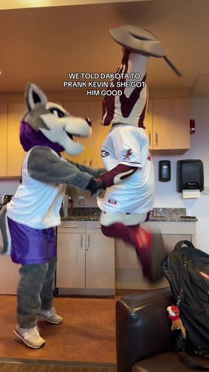 Video post by @gomaconbacon on TikTok