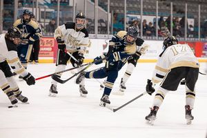 Image post by @sarahhochsteinphoto on Instagram