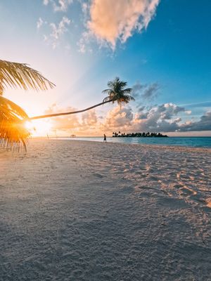 Image post by @gopro on Instagram