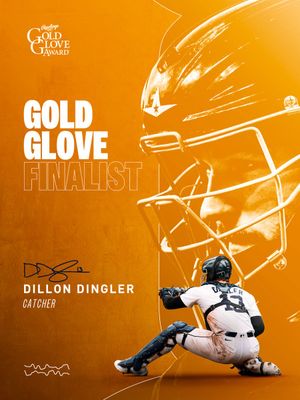 Image post by @tigers on Twitter