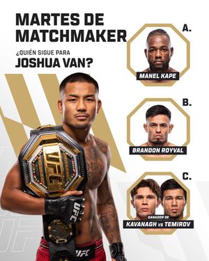 Image post by @ufcespanol on Instagram