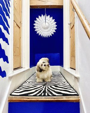 Image post by @annalysejacobs on Instagram