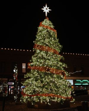 Image post by @nauflagstaff on Instagram