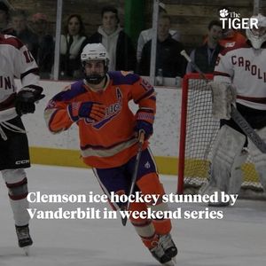 Image post by @thetigersports on Instagram