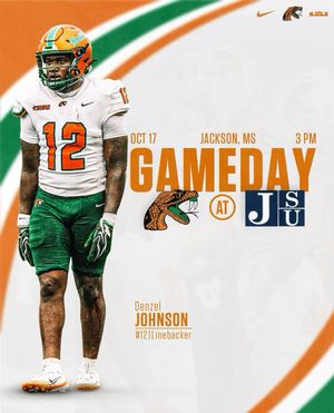 Image post by @famufb on Instagram