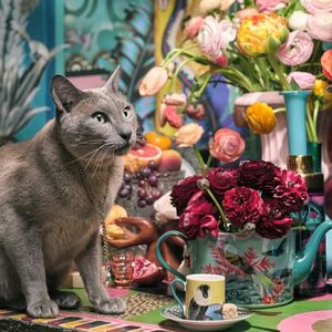 Image post by @lifetimebrands_eu on Instagram