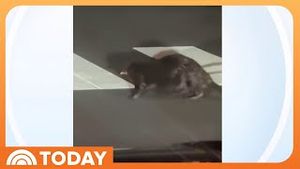 Video post by @today on YouTube