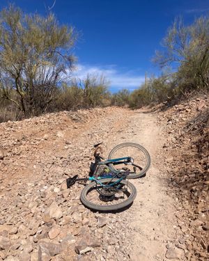 Image post by @otsocycles on Instagram