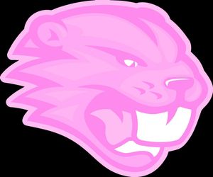 Image post by @beavertonhigh on Instagram