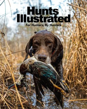 Image post by @huntsillustrated on Instagram