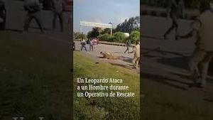 Video post by @nmasunivision on YouTube
