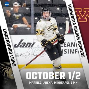 Image post by @everythingcollegehockey on Instagram
