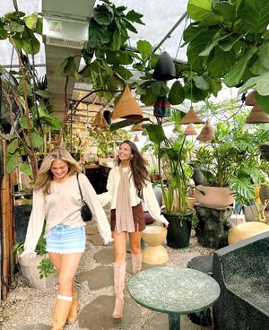 Image post by @trideltaua on Instagram