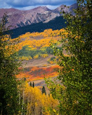 Image post by @skicrestedbutte on Instagram