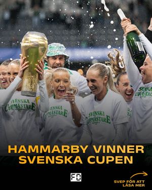 Image post by @fotbolldirekt on Instagram