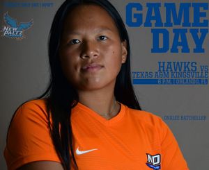 Image post by @nphawks on Twitter