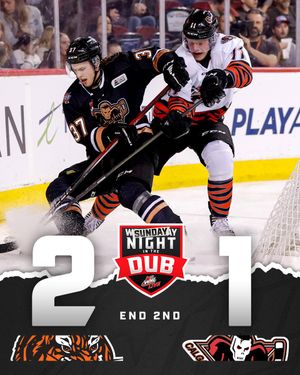 Image post by @TheWHL on Twitter