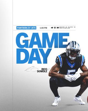 Image post by @panthers on Instagram