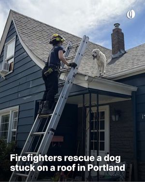 Image post by @theoregonian on Instagram