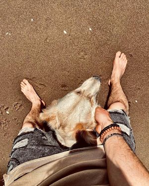 Image post by @__boreale____ on Instagram