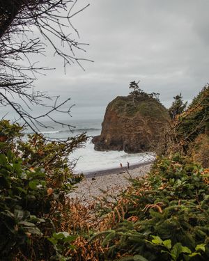Image post by @nikguiney on Instagram