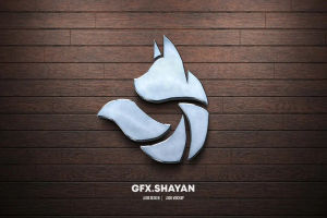 Image post by @shayan.faiq on Instagram