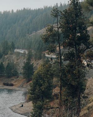 Image post by @takenbykathleen on Instagram