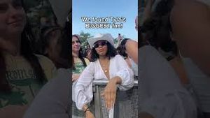 Video post by @Respective Collective on YouTube