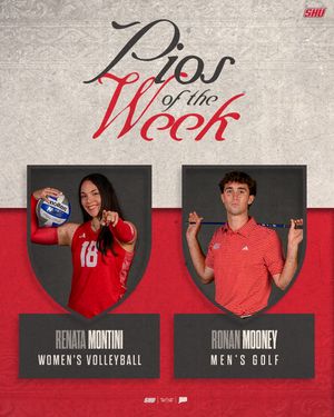 Image post by @shubigred on Instagram