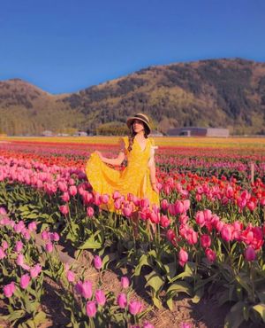 Image post by @tourismabbotsford on Instagram