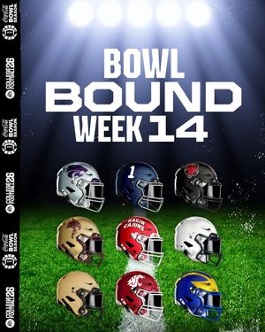 Image post by @bowlseason on Instagram