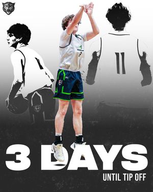 Image post by @beckham_hoops on Instagram