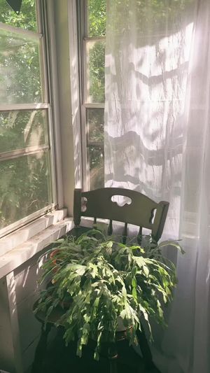 Video post by @filmbychloeg on TikTok