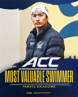 Image post by @calmenswim on Instagram