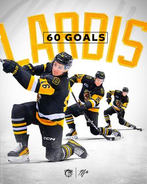 Image post by @bulldogsohl on Instagram
